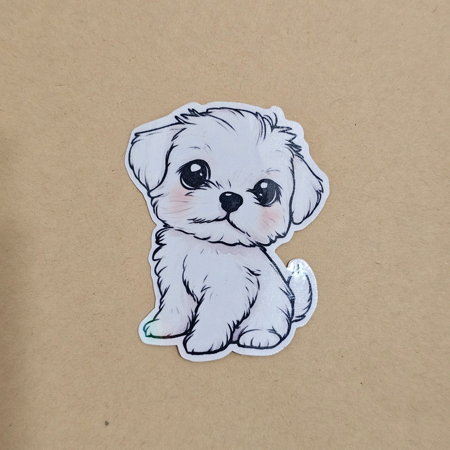 Maltese puppy