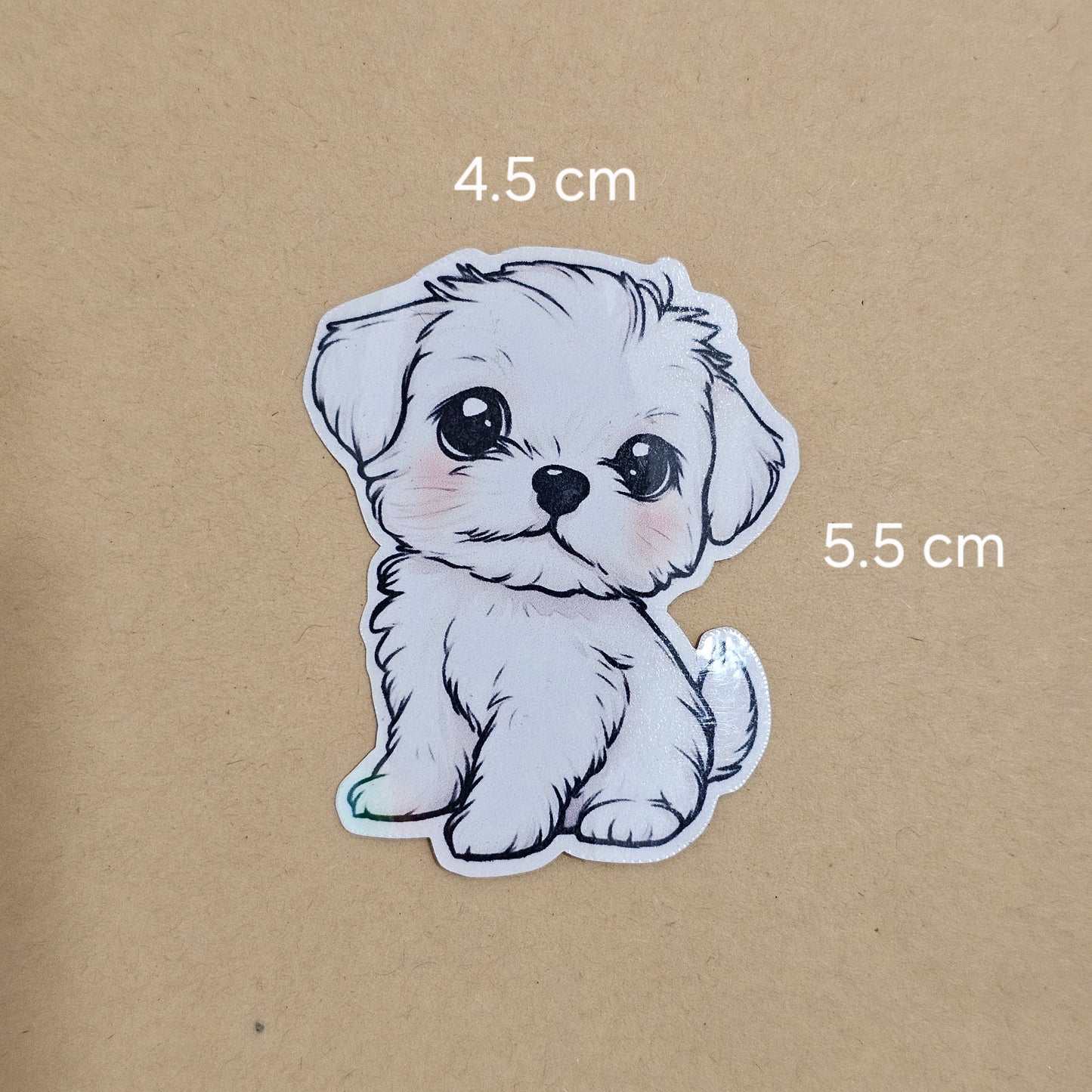 Maltese puppy