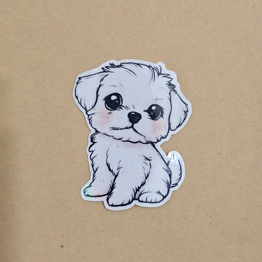 Maltese puppy